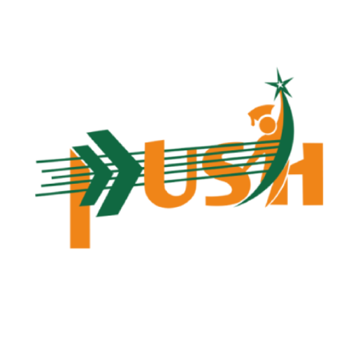 cropped-push_logo_big-2.png